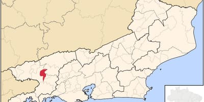 地図のダヴ